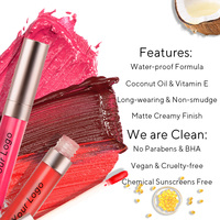 Kit de rouge à lèvres personnalisé en usine, logo de marque privée, rouge à lèvres liquide mat et crayon à lèvres, gloss volumateur, crayon à lèvres crémeux