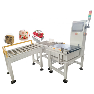 <b>Large</b> Scale Digital Steel Checkweigher <b>Roller</b> Conveyor for Cartons OEM Customizable 10g Pusher Auto Reject Online Auto Weighing - Product Image 1