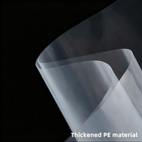 Sacs en plastique thermoscellables de qualité alimentaire LDPE pour l'emballage des glaçons avec impression sérigraphique et poignée en patch pour commandes personnalisées