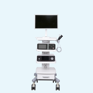 Sistema de Imágenes Endoscópicas Veterinarias HD de <span class=keywords><strong>24</strong></span> Pulgadas para Diagnóstico Animal, Precio de Fábrica para Hospitales Veterinarios - Product Image 2