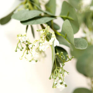 Décoration de fête artificielle vraie touche automne fleur couronne plastique verts feuilles saule <span class=keywords><strong>eucalyptus</strong></span> <span class=keywords><strong>guirlande</strong></span> pour mariage - Product Image 6