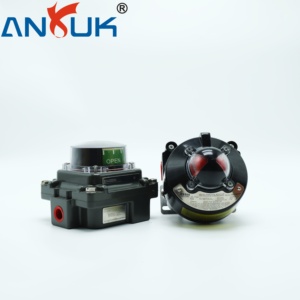 Indicatore meccanico di protezione IP68 a doppio contatto SPDT 5A 250VAC utilizzato nell'automazione dei processi - Product Image 3