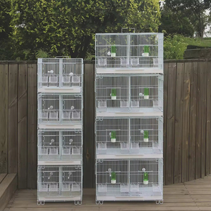 Gabbia per Uccelli Grande di Lusso, Gabbia per Pappagalli Tipo Villa, Gabbia per Uccelli Peonia e Pelle di Tigre, Produttori di Gabbie per Allevamento di Uccelli - Product Image 4