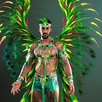 Conjunto de Disfraz de Samba para Hombre, Profesional, con Plumas Verdes Grandes, Alas de Pavo Real, para Actuaciones en Escenario y Desfiles
