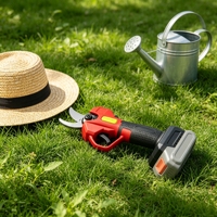 Sécateur sans fil L&P sans balais avec affichage numérique, coupe-branches à batterie, outil de jardinage pour arbres fruitiers, couple élevé, OEM