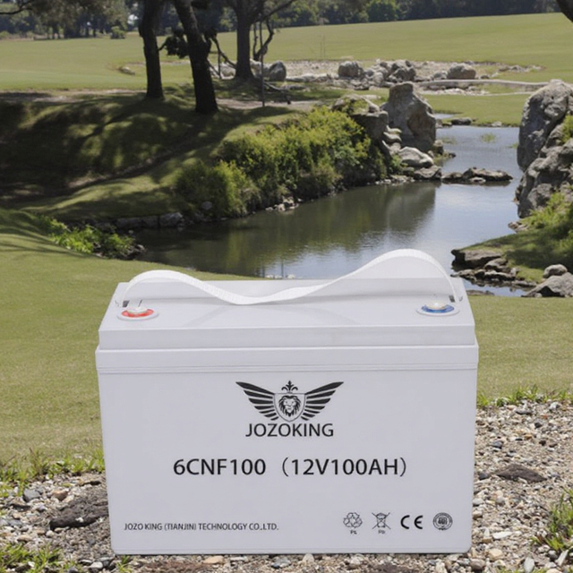 JOZOKING Rechargeable 12V 100Ah Deep Cycle AGM Lead Acid Battery for Solar/Wind Energy Storage System