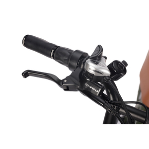 Vélos électriques cargo vintage puissants bafang moteur 250w-1000w ebike gros pneus vélos 50 km/h ebike pour adultes - Product Image 5