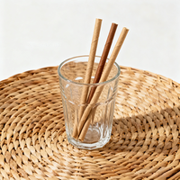 Pailles en papier jetables écologiques, sans toxines, sans danger pour les aliments, recyclables, pour les fêtes, adaptées aux tout-petits et aux personnes âgées, pour tous les âges