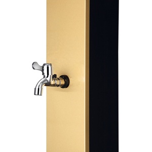 CYEN 2025 NOUVEAU <span class=keywords><strong>40L</strong></span> SS Brossé Doré Tétragonal Avec <span class=keywords><strong>Douche</strong></span> Pluie et Robinet <span class=keywords><strong>Piscine</strong></span> Extérieur Jardin <span class=keywords><strong>Douche</strong></span> <span class=keywords><strong>Solaire</strong></span> - Product Image 5