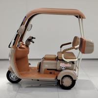 Nouveau tricycle électrique pour adultes en vente