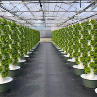 Système de culture hydroponique en tour verticale Aeroponic Tower pour la culture de légumes en intérieur