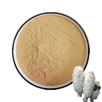 100% natuurlijk Coprinus Comatus poeder, schimmel-ingrediënt, Coprinus Comatus extractpoeder