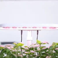 Jardinière électronique intelligente en ABS avec système hydroponique Bluetooth pour la culture de légumes et plantes d'intérieur modernes