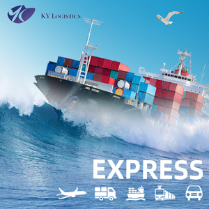 Китайский экспедитор Европейский грузовой брокер Обучение центральной логистике FBA от Custom Nepal <span class=keywords><strong>DHL</strong></span> Гуандун Экспедитор - Product Image 3