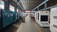 Générateur diesel silencieux d'usine 160KW-210KW avec démarrage automatique ATS pour les centres de données et les entrepôts frigorifiques