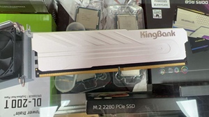 Kingbank 16GB DDR5 5600MHz REG ECC Desktop <b>RAM</b> in Stock - Product Image 3