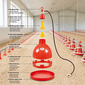 Bebedero Automático para Aves de Corral <span class=keywords><strong>YUB</strong></span> BAO DP03, Campana para Pollos y Gallinas, Fácil Instalación, Nuevo Diseño, Uso Agrícola - Product Image 6