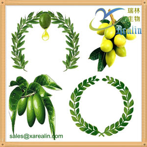 オリーブの葉エキス粉末40% オレウロペインパウダー工場供給 - Product Image 4