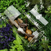Terrarium Moderne Carré en Acrylique pour Araignées Sauteuses et Reptiles Arborescents avec Fermeture Coulissante Horizontale et Motif Uni