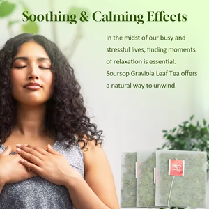 ชาสมุนไพรใบโกรเวียโลล่า OEM สูตรผสมสำหรับคนทานมังสวิรัติ ปราศจาก GMO ชาเพื่อสุขภาพ บรรจุ 10 ซองในกล่อง - Product Image 6