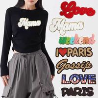 Écussons brodés thermocollants ZP-Custom avec logo 3D de designer, badges brodés, lettres en feutre chenille pour vêtements et chapeaux