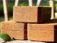 SUBSTRAT DE FIBRES ORGANIQUES DE TOURBE DE COCO BASSE EC et ÉQUILIBRE DE PH BRIQUE DE COCO DE NOIX DE COCO SOL DE PLANTE À HAUTE EXPANSION