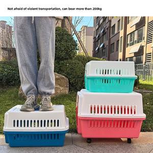 Nouvelle cage de <span class=keywords><strong>transport</strong></span> portable pour chats, en PP, style robuste, motif uni, pour l'extérieur - Product Image 5