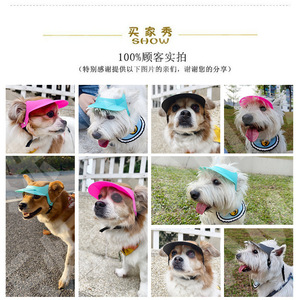 Chapeau de soleil pour chien, couleur unie, en plastique, résistant aux UV, accessoires d'été pour petits chiens - Product Image 2