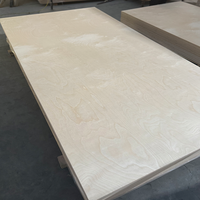 Panneau de contreplaqué en bois de bouleau massif de qualité AA, taille personnalisable (épaisseur 3-45 mm), design contemporain pour meubles et hôtels
