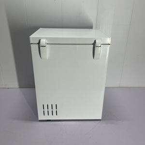 Congélateur coffre 118L à porte unique, vente directe usine, usage domestique et extérieur, hôtelier, compresseur portable, écoénergétique, compact - Product Image 5