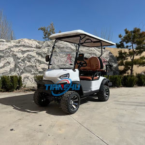 รถกอล์ฟไฟฟ้าที่นั่งเดียวรถกอล์ฟ - Product Image 4