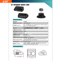 Prix usine TM-12P TM-15P Module amplificateur simple 12/15 pouces 1000W/1300W pour enceintes de monitoring audio professionnelles et boîtes de scène actives