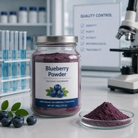 Natuurlijk puur bosbessen fruitpoeder FVP-44 instant wateroplosbaar sappoeder in plastic verpakking