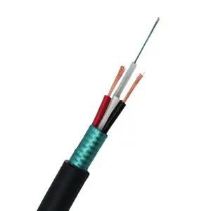 Aerial 2 4 6 8 12 24 Core Fibre Optic Cable Single Mode G652D Armoured Fiber Optic Cable Outdoor GYXTW