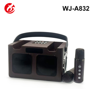 Altavoz Karaoke Bluetooth Portátil Mini OEM con Dos Micrófonos Inalámbricos y Luz LED RGB para Fiestas en Casa y KTV - Product Image 6