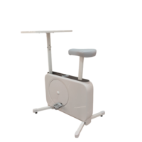 Bicicleta de Ejercicio con Escritorio, Equipo de Fitness con Resistencia Magnética, Precio de Fábrica, para Entrenamiento Diario en Casa u Oficina