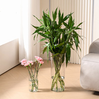 Vase Moderne en Plastique Transparent pour Arrangements Floraux Élégants, Idéal pour Lys Hydroponiques 'Horse Drunk Wood', Design Simple et Droit pour Salon