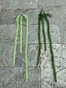 Plantes vertes suspendues de forêt 2023 pour la décoration d'hôtel de mariage - Product Image 4