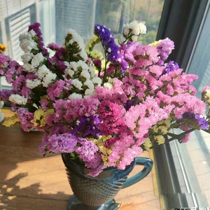 Decoración de Lujo para el Hogar, Flores Preservadas, Plantas, No <span class=keywords><strong>Me</strong></span> Olvides, Ramo Duradero, Boda, Año Nuevo Chino, Morado, Multicolor - Product Image 4