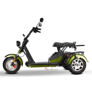 2000W двухколесные электрические скутеры Лидер продаж электрических трехколесных велосипедов 3 трехколесный самокат инвалидности с padals трехколесный велосипед электрический для взрослых людей пожилого возраста