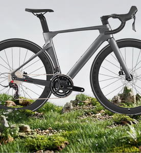 Vélo de montagne RS-22S Hydr Disc Aloy Wheel Mtb Cycle Road Gravel Carbon Fiber Roadbike R10pro R10pro - Product Image 4