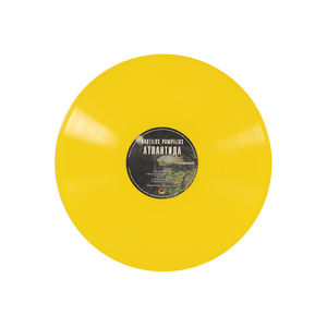 Установка для прессования виниловых пластинок 12 дюймов с двойным <span class=keywords><strong>LP</strong></span> - Product Image 6