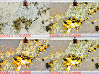 Pierre de luxe du Brésil, granit blanc Alpinus naturel, pierre translucide, grandes dalles, panneaux muraux, carreaux, décoration intérieure, comptoir de salon