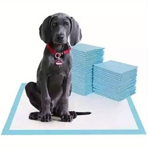 Vente directe d'usine anti-fuite chiot formation Pet Pad robuste chien chat toilette formation pipi pot Pad - Product Image 1