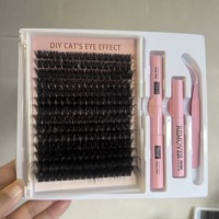 Kit Complet d'Extension de Cils Tout-en-un : Colle, Dissolvant, Pince à Épiler, Contenant, Colle et Scellant pour Cils en Grappe DIY