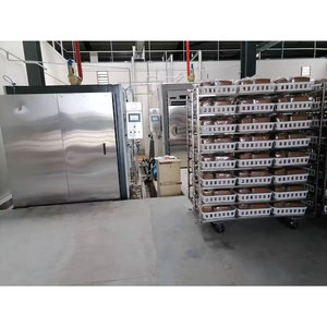 Autoclave industriel grande capacité, stérilisateur de blocs de champignons à haute efficacité, conception à double porte, taille personnalisée - Product Image 5