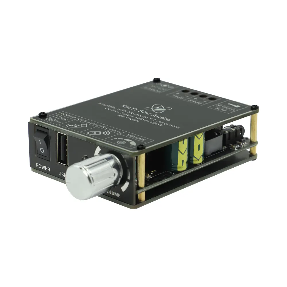 Roarkit Hifi Level 100W * 2 Stereo Bluetooth Digitale Eindversterker Module Tpa3116 Met Afstandsbediening Y 100H