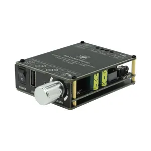 Roarkit livello HIFI 100W * 2 stereo Bluetooth digitale modulo amplificatore di potenza TPA3116 con telecomando Y100H