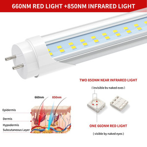 Cama de bronceado <span class=keywords><strong>Tubo</strong></span> de luz roja 1,8 m 2M Lámpara de terapia 660nm 850nm Dispositivo combinado de Infrarrojo Cercano Máquina Cuidado DE LA PIEL Alivio del dolor <span class=keywords><strong>LED</strong></span> personalizado - Product Image 3