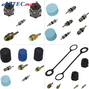 Kit <span class=keywords><strong>de</strong></span> réparation professionnel <span class=keywords><strong>de</strong></span> valve <span class=keywords><strong>de</strong></span> capuchon <span class=keywords><strong>de</strong></span> port <span class=keywords><strong>de</strong></span> service AC pour automobile AC.135, compatible R134a R1234yf, avec capuchon anti-poussière pour valve Schrader - Product Image 1